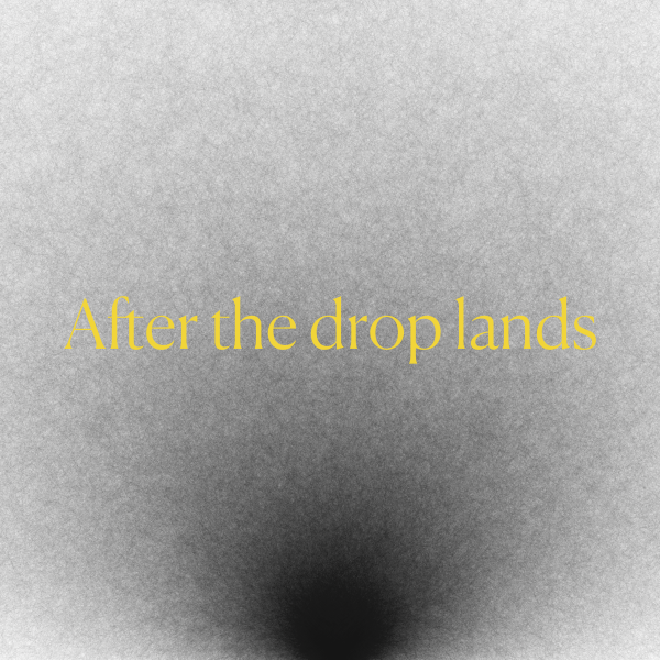 after the drop lands cover